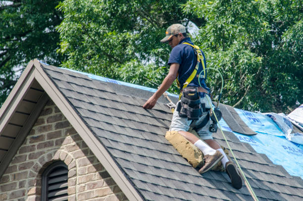 Best Best Roofing Contractors  in Missoula, MT